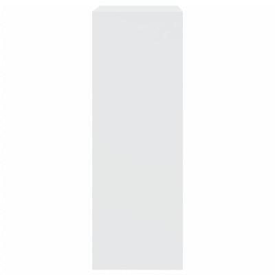 Modern 18 Pair 31" Shoe Cabinet With 2 Flip Down Drawers